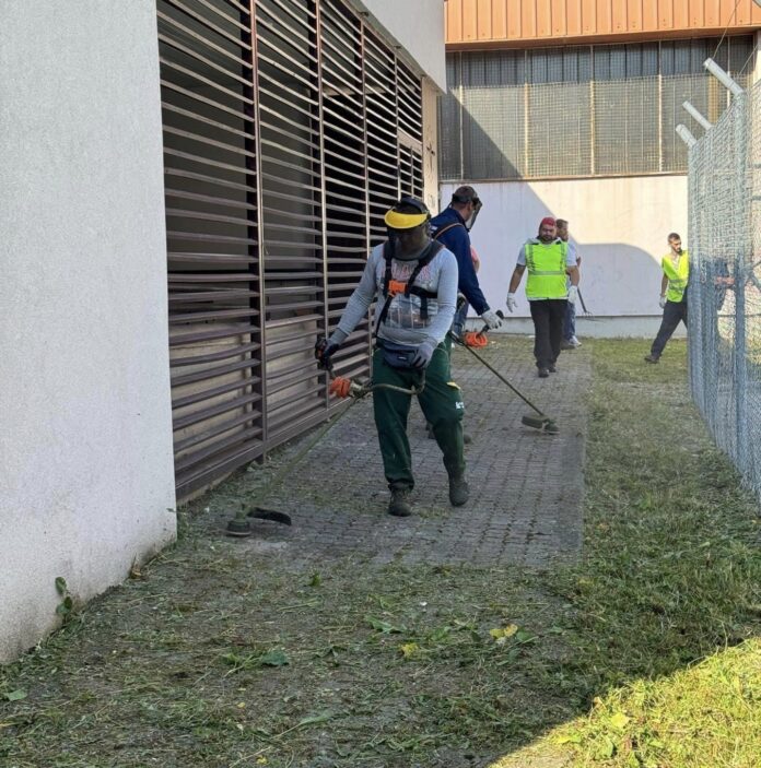 Radnici tuzlanskog Komunalca uređuju zelene površine