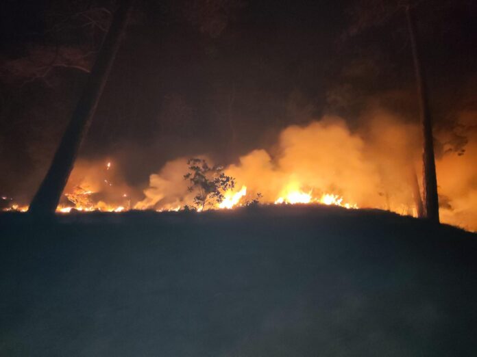 Požar na planini Konjuh na tri lokaliteta