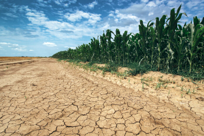 Najavljen duži period bez padavina i sa visokim temperaturama