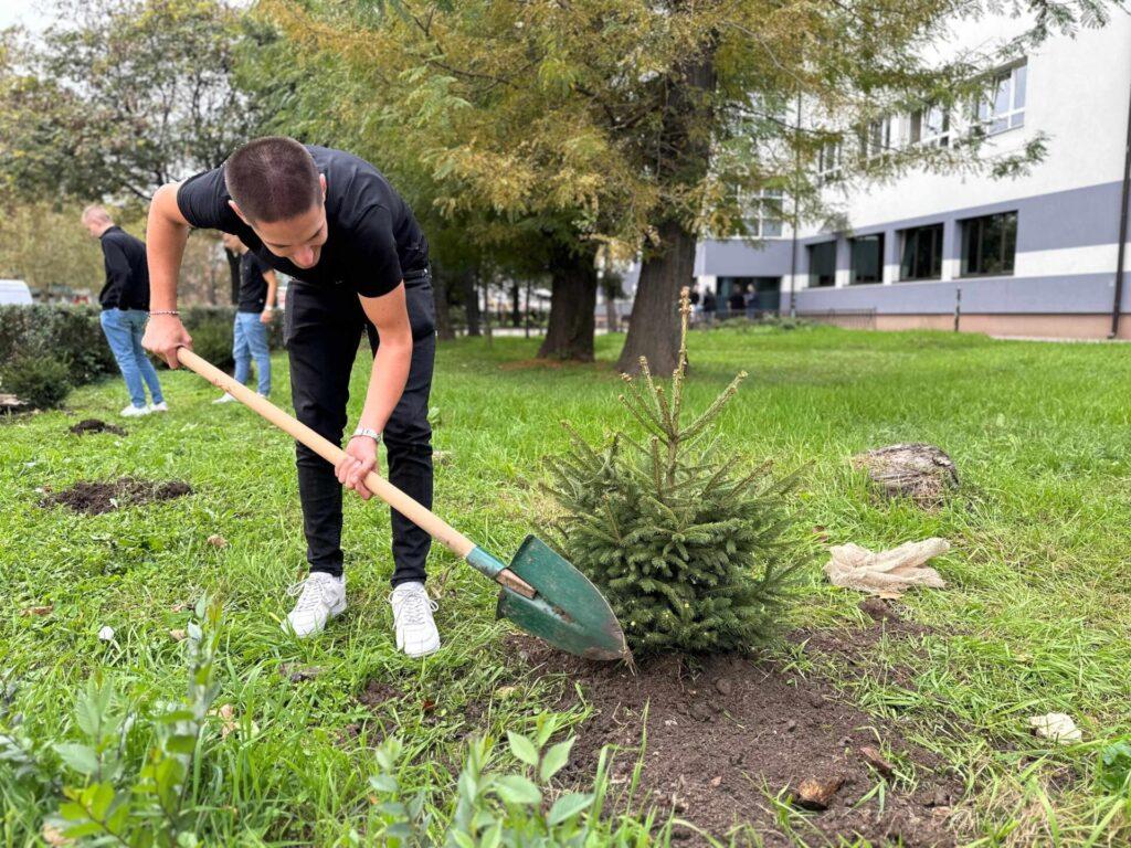 12. Terenska volonterska akcija sadnje drveća 