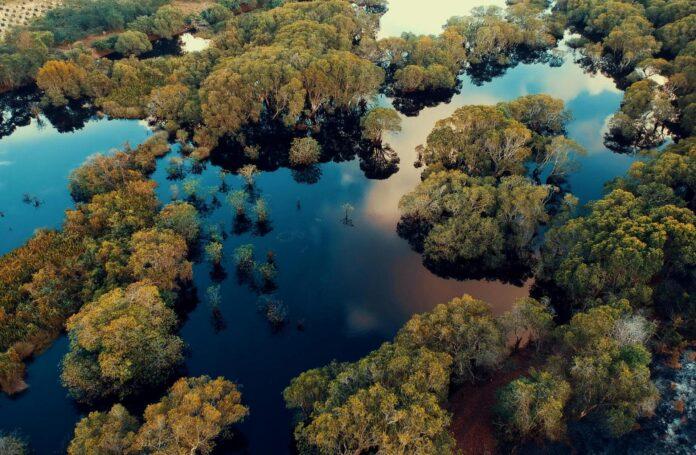 Međunarodni dan vlažnih staništa, spriječimo negativne klimatske promjene